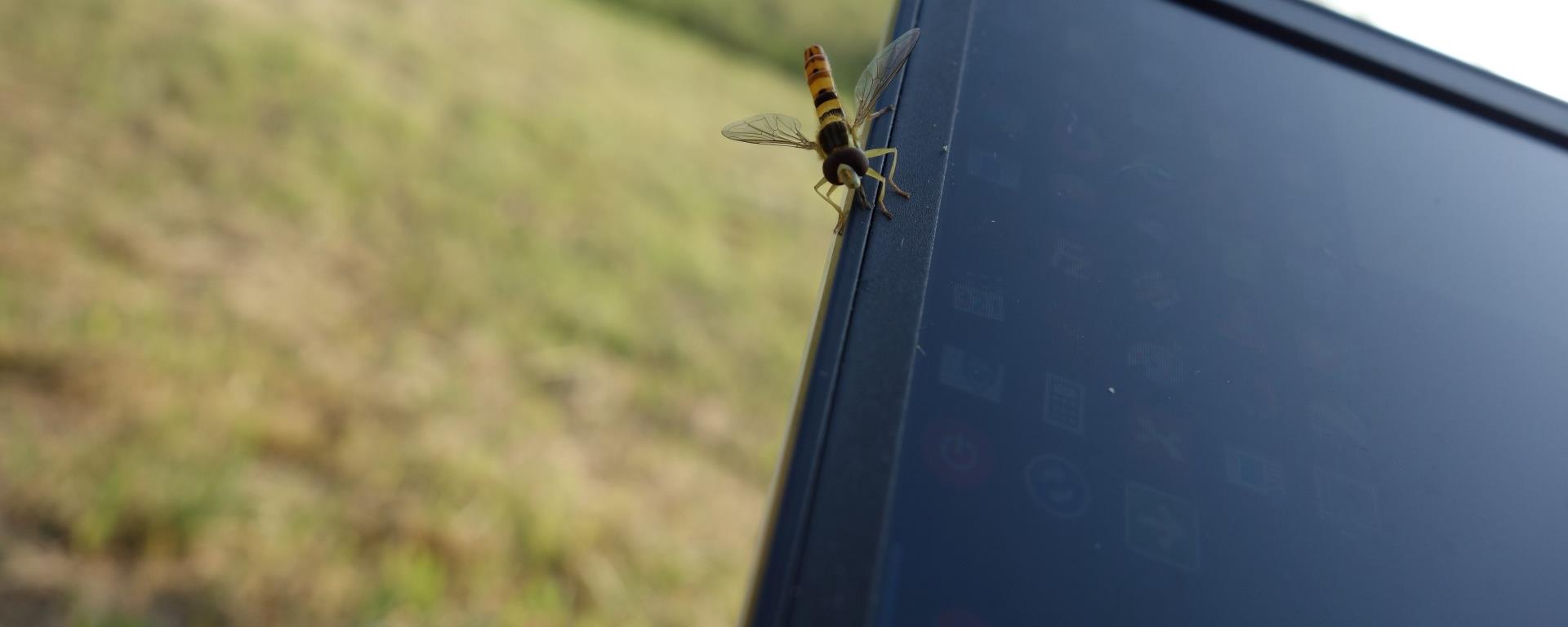 Displej notebooku a hmyz