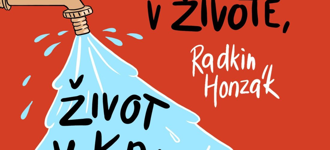 Krize v životě, život v krizi